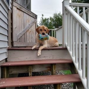 Meet your Posher, Linda